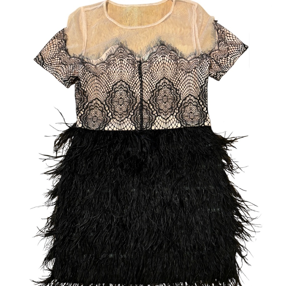 SUGARLIPS Black and Pale Pink Laced Feathered Dress